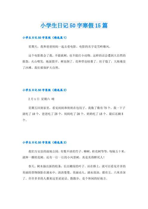 小学生日记50字寒假15篇