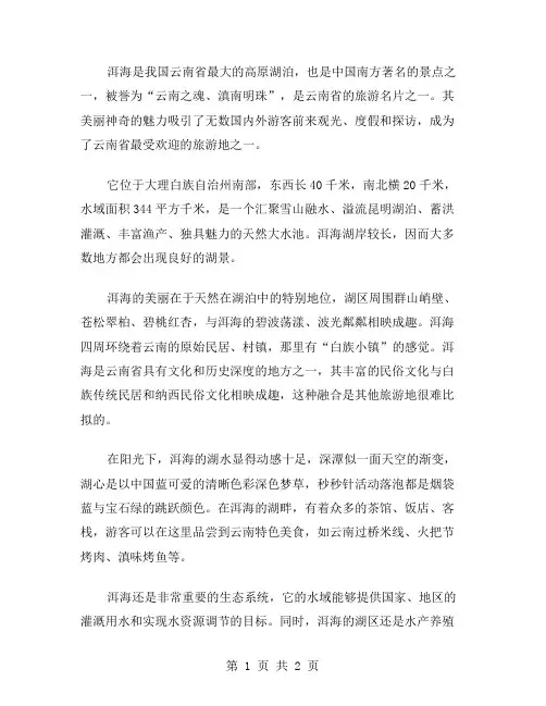 美丽的洱海作文范文