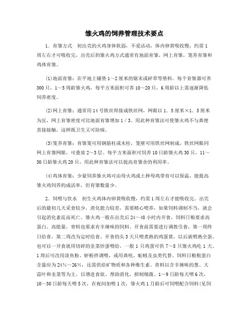 雏火鸡的饲养管理技术要点
