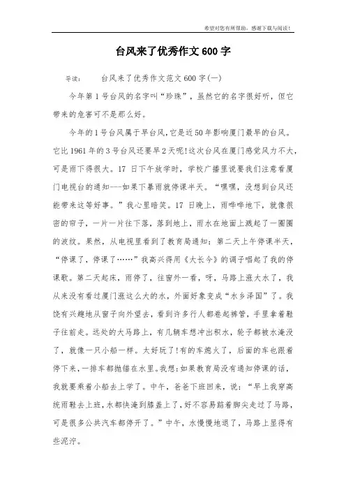 台风来了优秀作文600字