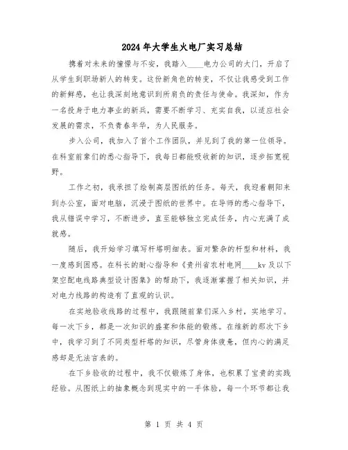 2024年大学生火电厂实习总结（二篇）