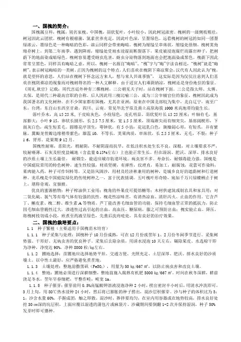 一、国槐的简介