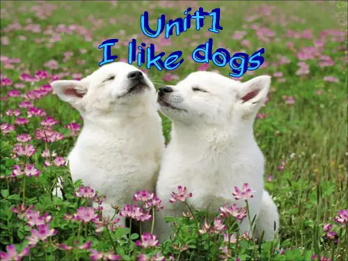 [最新]牛津译林版四年级英语上册Unit 1 I like dogs 课件 2.ppt