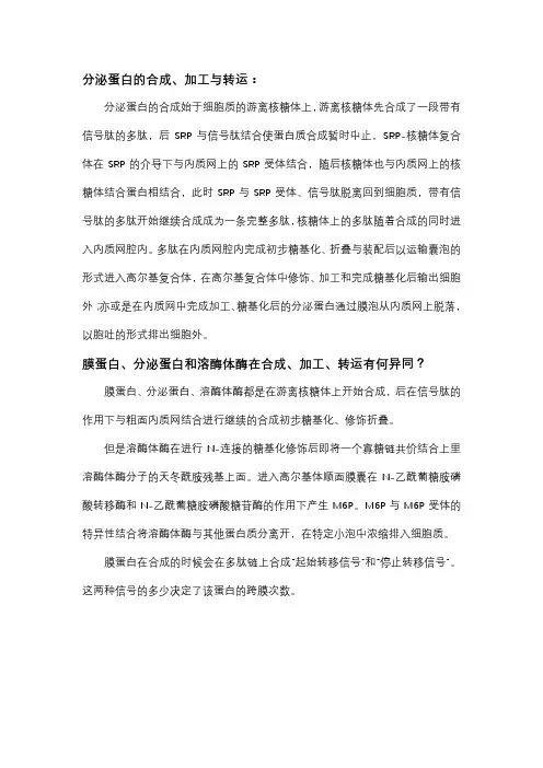 分泌蛋白的合成