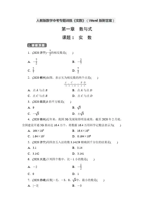 人教版数学中考专题训练《实数》(Word版附答案)