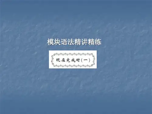 外研版八年级英语下册作业课件：Module 2 Experiences 同步作文指导+语法精讲精练 1PPT下载