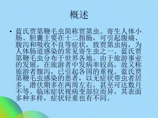 优选蓝氏贾第鞭毛虫经典PPT讲解ppt(共14张PPT)