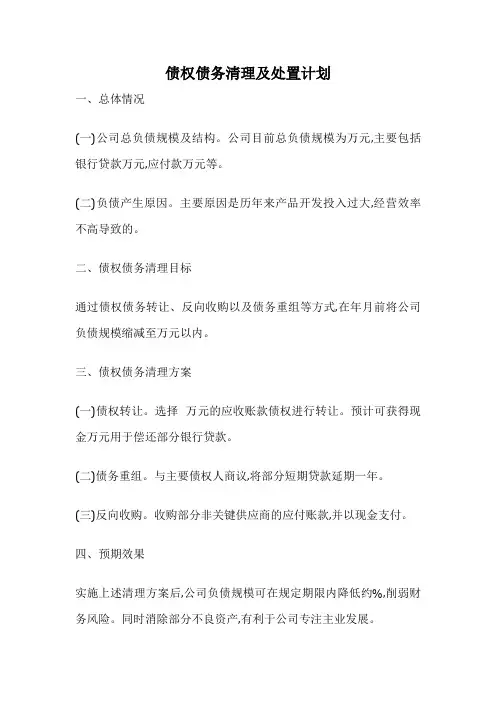债权债务清理及处置计划