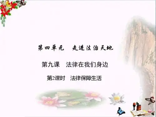 法律保障生活ppt优秀课件 人教版