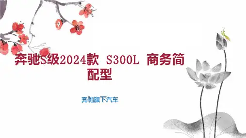 奔驰S级2024款 S300L 商务简配型