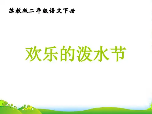 二年级语文下册 欢乐的泼水节 3课件 苏教版