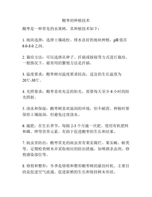 酸枣的种植技术