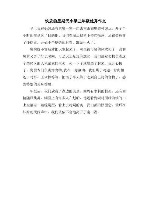快乐的星期天小学三年级优秀作文