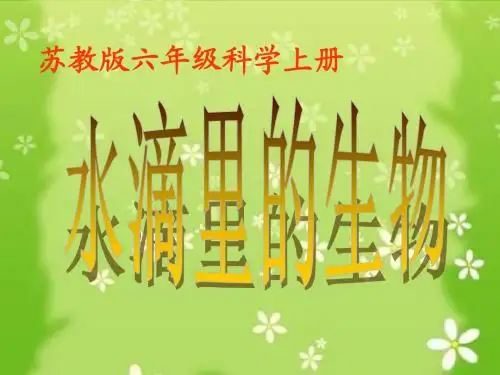 (苏教版)六年级科学上册课件-1水滴里的生物