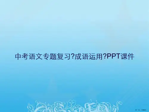中考语文专题复习《成语运用》PPT课件