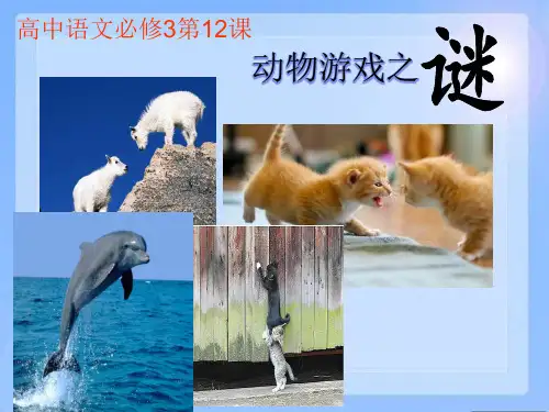 《动物游戏之谜》公开课教学PPT课件(正稿)