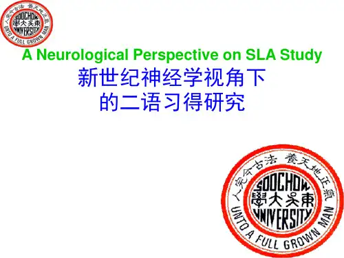 语言学视角下的二语习得研究PPT课件