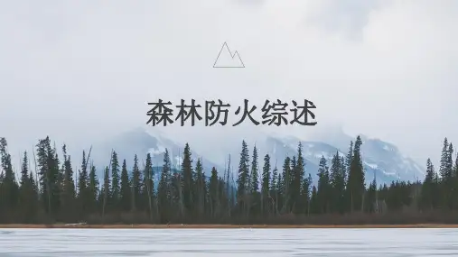 森林防火调研