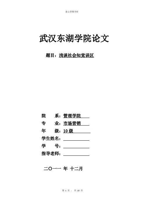 消费者行为学——论文