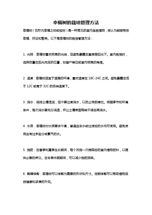 幸福树的栽培管理方法