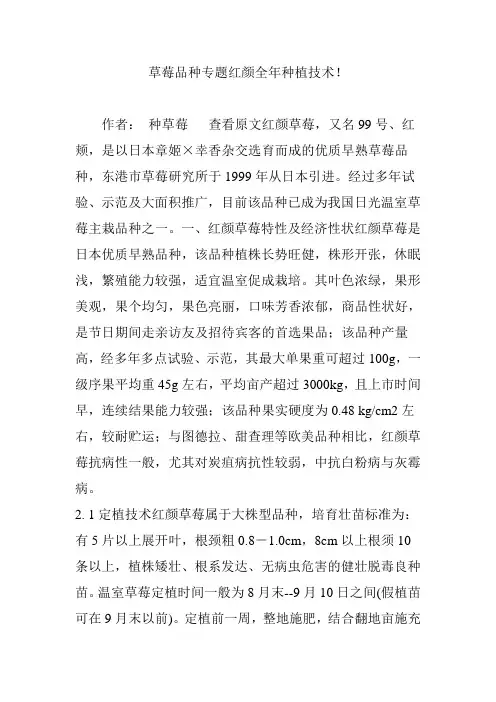 草莓品种专题红颜全年种植技术!