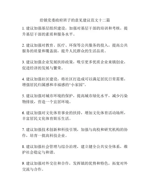 给镇党委政府班子的意见建议范文十二篇