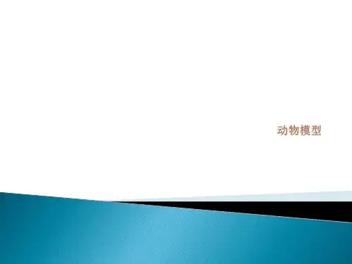 动物模型ppt课件