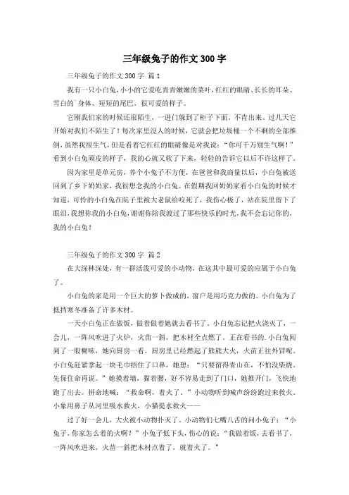 三年级兔子的作文300字