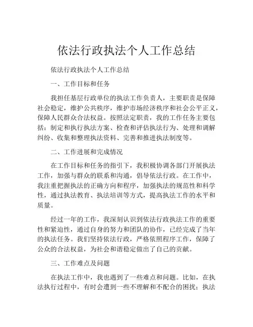 依法行政执法个人工作总结