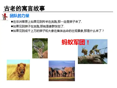 《团队协作意识培训》PPT课件