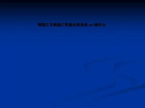 裂隙灯及裂隙灯图像处理系统 