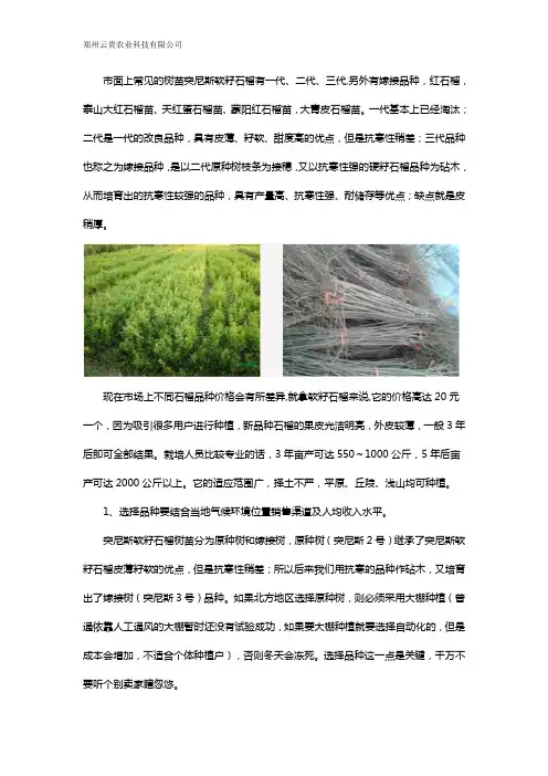 突尼斯软籽石榴品种之选,注意3点远离那些坑