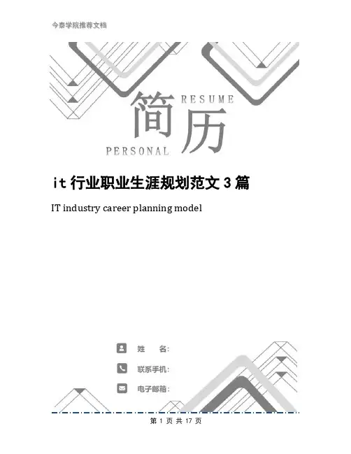 it行业职业生涯规划范文3篇