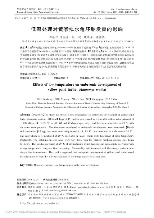 低温处理对黄喉拟水龟胚胎发育的影响