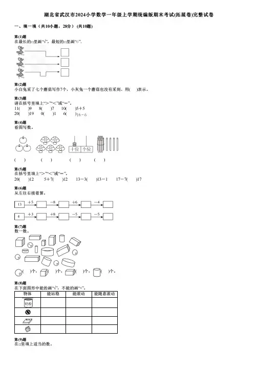 湖北省武汉市2024小学数学一年级上学期统编版期末考试(拓展卷)完整试卷