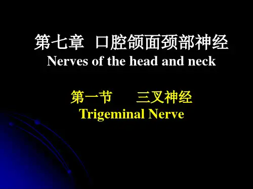 医学教学课件：口腔颌面颈部神经(2)
