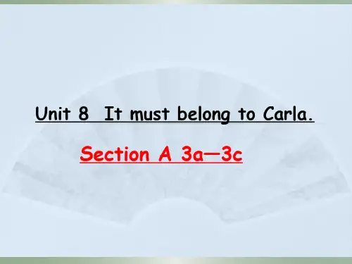 2020-2021学年人教版九年级英语课件Unit8SectionA（3a—3c）