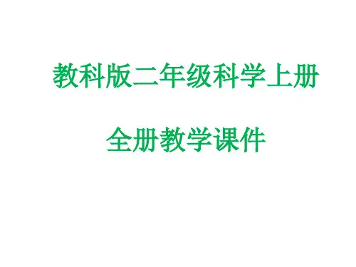 教科版二年级科学上册全册教学课件