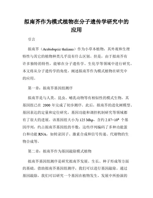拟南芥作为模式植物在分子遗传学研究中的应用