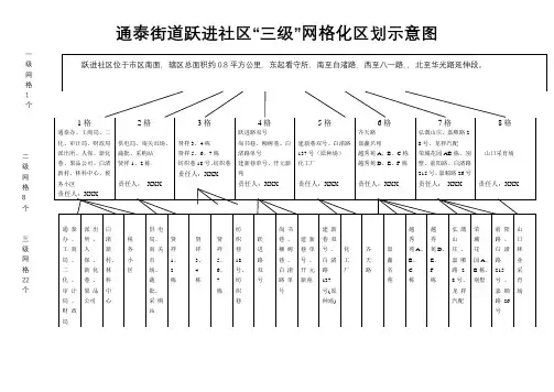 通泰街道跃进社区三级网格化区划示意图【模板】