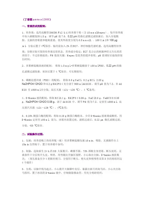 神经元原代培养  丁香园