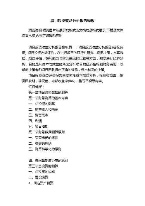 项目投资收益分析报告模板