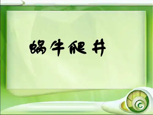 蜗牛爬井
