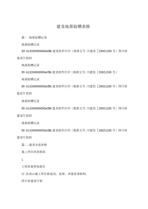 建龙地基验槽表格