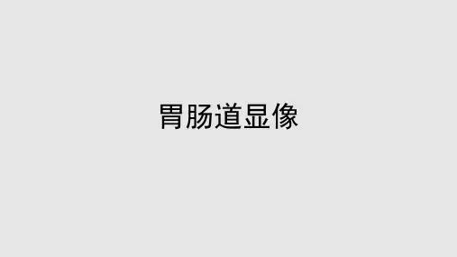 胃肠道及唾液腺显像PPT