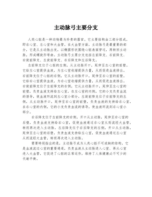 主动脉弓主要分支