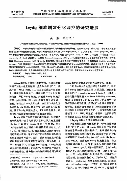 Leydig细胞增殖分化调控的研究进展