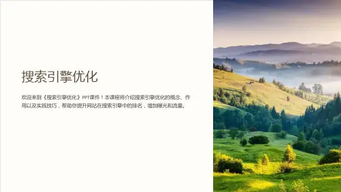 《搜索引擎优化》课件