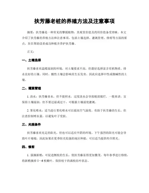 扶芳藤老桩的养殖方法及注意事项