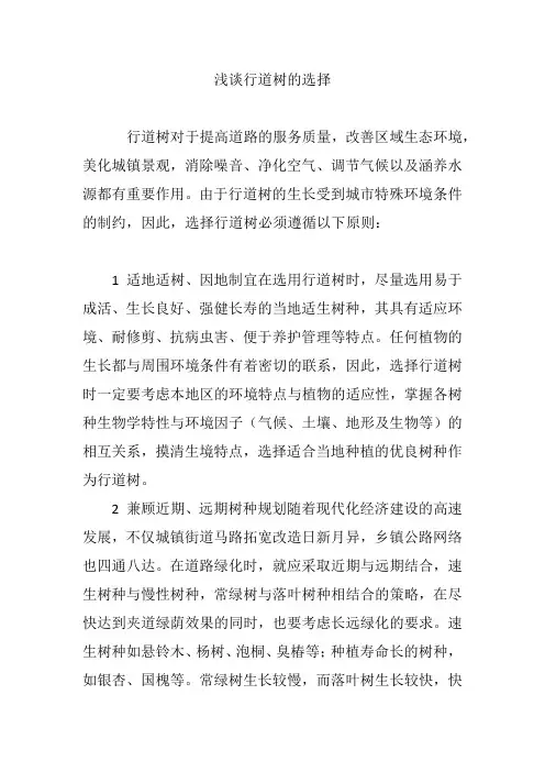 浅谈行道树的选择